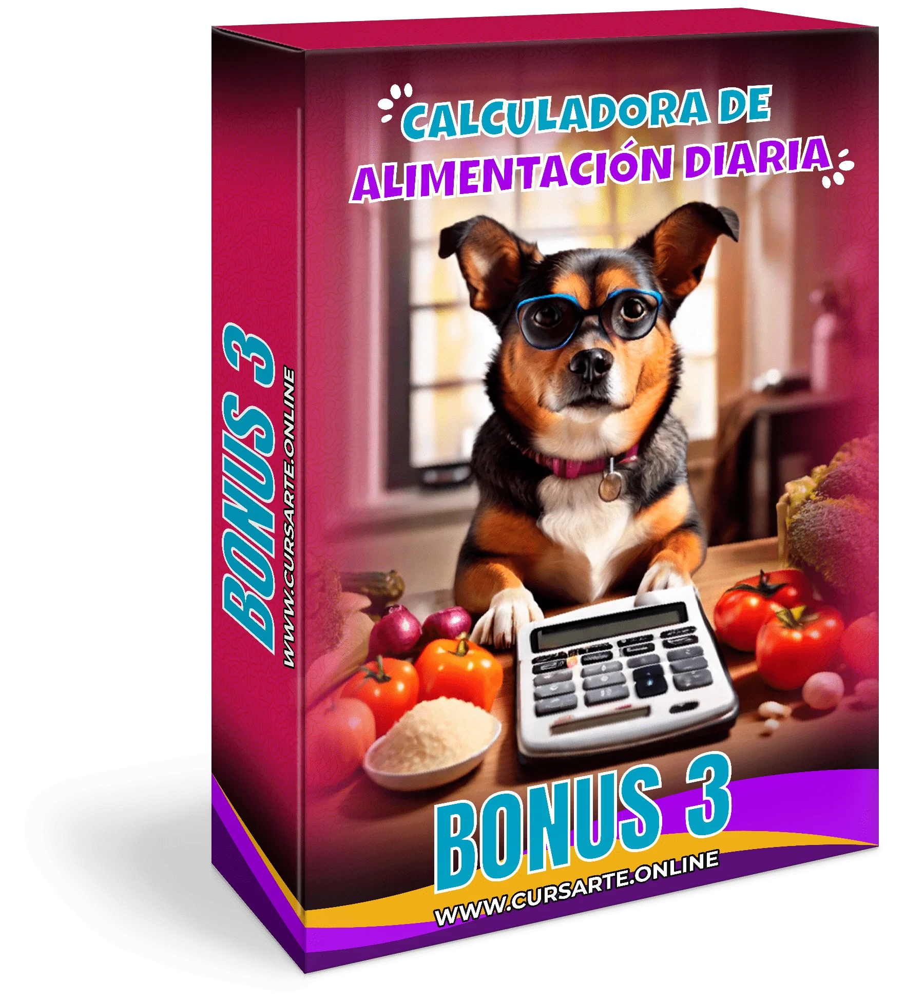 MOCKUP 12 BONUS