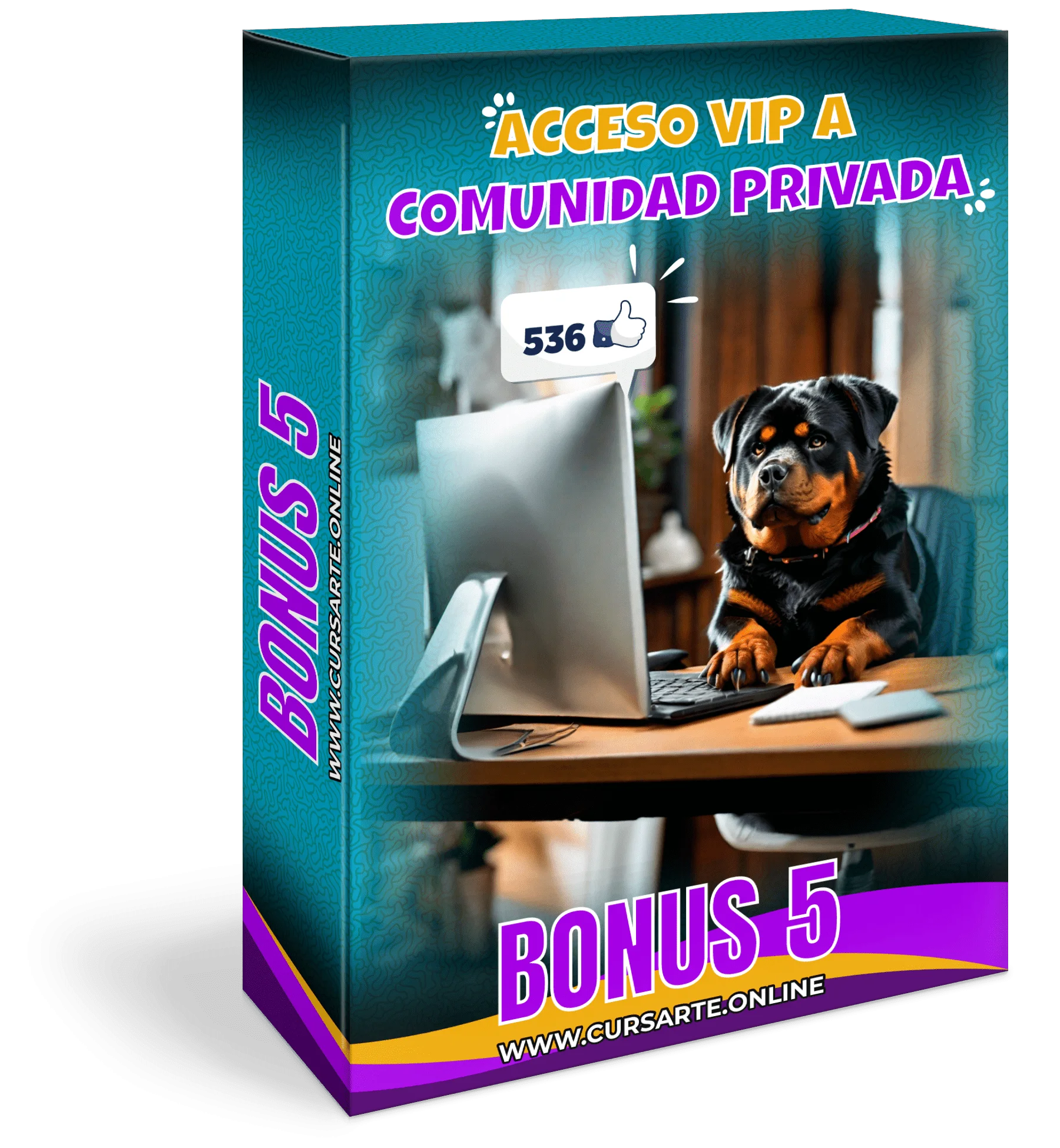 MOCKUP 13 BONUS